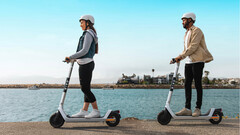 前电动车领导者鸟牌在股票退市后申请破产保护。(来源:鸟牌)