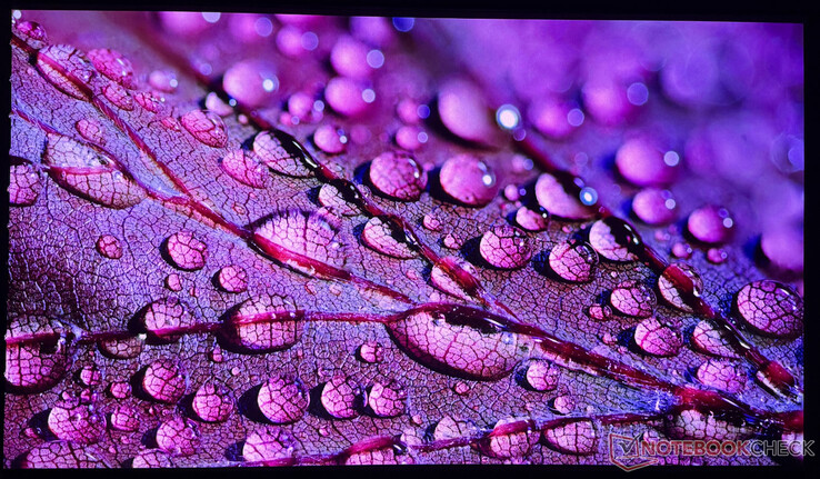 所使用的 iPhone 16 Pro 只能在有限的范围内捕捉到 Aetherion Max 的图像质量。