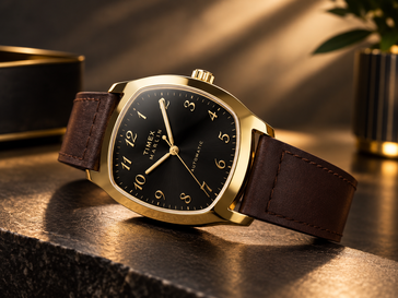 配备棕色皮表带的 Timex Marlin Tonneau TW2Y84500IK 手表