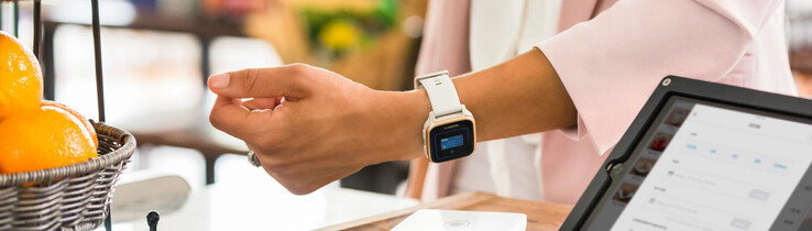 Garmin Pay 功能（如上图所示）将重新命名为 Garmin Wallet。(图片来源：Garmin）
