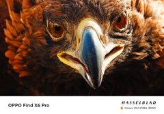Find X6 Pro：一个长焦高手？(来源: OPPO)