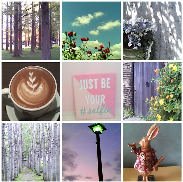 使用 Kenko Tokina Pieni II 玩具相机拍摄的照片示例。(图片来源:Kenko Tokina)