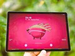 三星Galaxy Tab S10 Lite 评测。(图片来源：Marcus Herbrich）