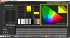 CalMAN ColorChecker已校准（目标色彩空间P3）。