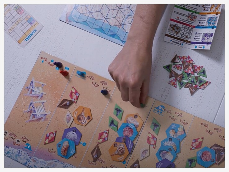 带棋子和卡片的萨尼贝尔棋盘游戏。(来源：Avalon Hill via Youtube）
