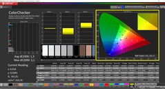 CalMAN ColorChecker（配置文件：sRGB，目标色彩空间：sRGB）