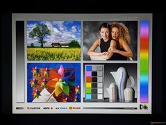 宽广的 IPS 视角