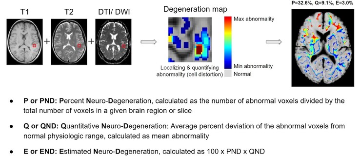 BrainSee 可以从核磁共振扫描中检测出大脑的异常区域，并给医生打分，显示患者患老年痴呆症的可能性。(来源：Darmiyan）