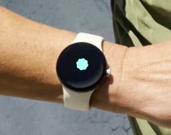 谷歌 Pixel Watch 预计将很快获得高血压检测功能，就像Apple Watch 一样。(图片来源：谷歌）