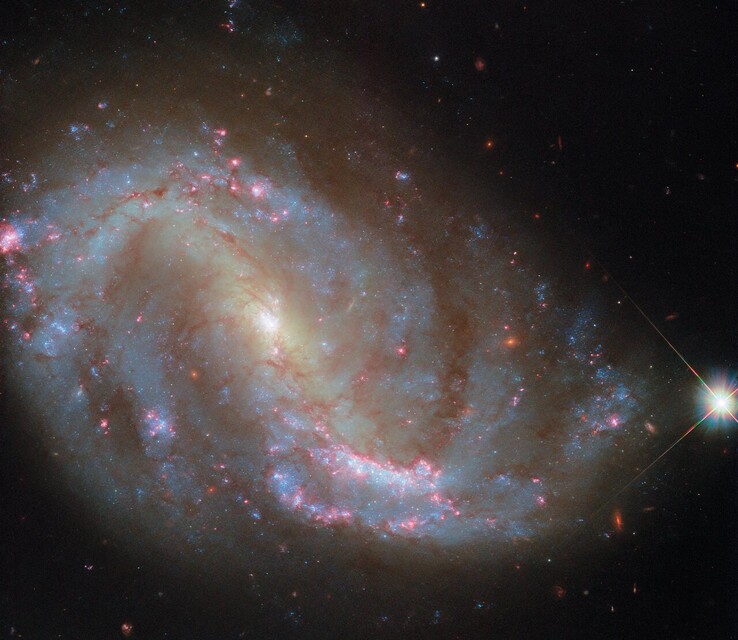 NGC 7496 的哈勃图像（图片来源：欧空局/哈勃、美国国家航空航天局、R. Chandar、J. Lee 和 PHANGS-HST 小组）