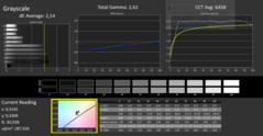 CalMan ColorChecker 灰度(已校准)