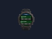 Amazfit 智能手表用户可下载新的 HA Switches 应用程序