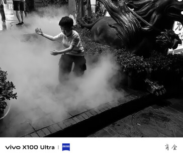 (图片来源：vivo）