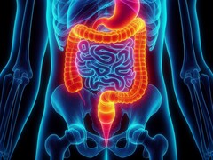 肠内通气首次在人体试验中获得成功。(图片来源：David_SMC via Pixabay）