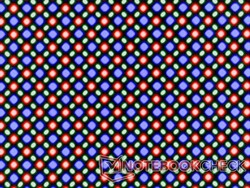 OLED 显示屏基于 RG/BG 子像素矩阵，每个子像素由一个红色、一个蓝色和一个绿色发光二极管组成。