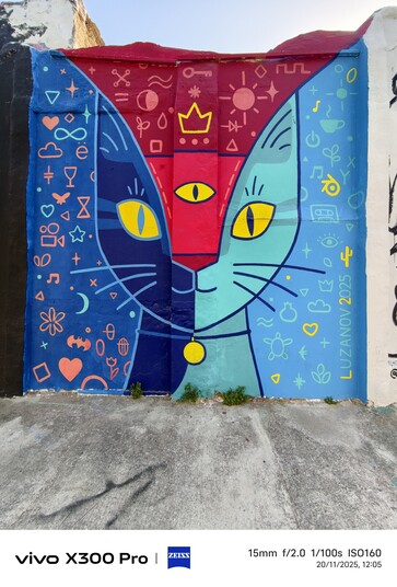 vivo X300 Pro：照片样本