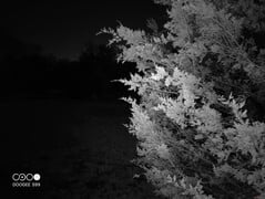 该夜视摄像机可以在完全黑暗的环境中捕捉到5米内物体的清晰图像。