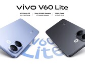 vivo V60 Lite 4G 有蓝色和黑色两种配色(图片来源:vivo)