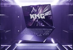 为预算有限的玩家提供更多入门级选择。(图片来源：XMG）