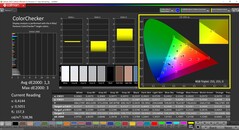 CalMAN ColorChecker（配置文件：sRGB，目标色彩空间：sRGB）