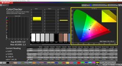 CalMAN ColorChecker（配置文件：Vivid，目标色彩空间：P3）