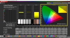 CalMAN ColorChecker（配置文件：sRGB，目标色彩空间：sRGB）