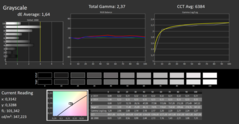 Calman ColorChecker。DCI-P3 - 灰度