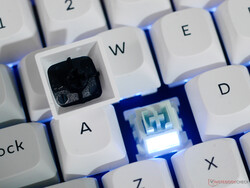 Keychron Q1 HE 8K 开关背光源