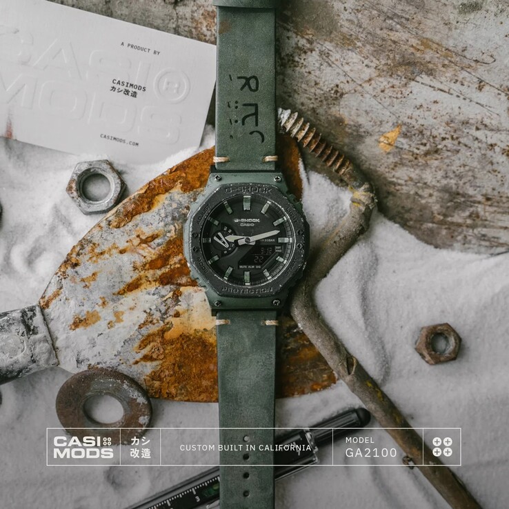 (图片来源：CasiMods）