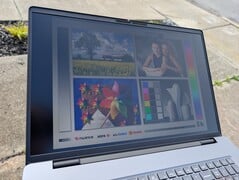 明亮阴天下的户外活动