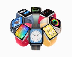 Apple 9月7日推出的Watch SE智能手表 (来源: )Apple
