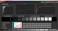 CalMan ColorChecker - 灰度