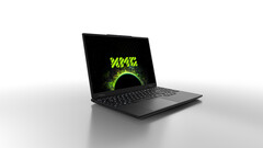 (图片来源：XMG）
