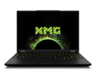 用户可以预期移动 RTX 5080 的性能与移动 RTX 4090 大致相同（图片来源：Schenker）