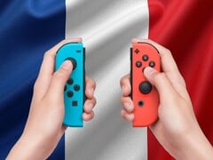 带法国国旗的 Switch Joy-Con 控制器