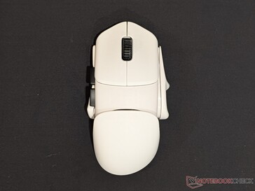 我的首选配置是使用一个左撑杆、两个右撑杆、两个驼峰撑杆、闩式握把、Xtra Claw 握把和高驼峰。