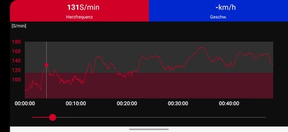 心率测量 Polar H10 胸带