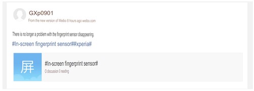 指纹传感器的传闻。(图片来源：SumahoDigest - 机器翻译)