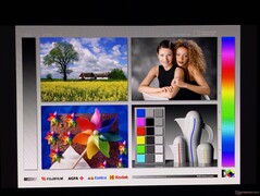 宽广的 OLED 视角