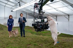 为了实现该剧独特的 70 年代美学风格，摄像机机身搭配了潘那维申 C 系列变形镜头。(图片来源：Apple TV+）