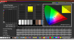 CalMAN: ColorChecker (已校准)