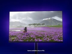 在 PlayStation 游戏显示器上展示的《幽灵耀庭