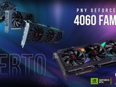 PNY的RTX 4060卡。(来源: PNY)