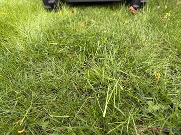 Airseekers Tron 在测试中留下的草屑更长...