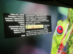 流媒体在OmniStar L80上并不可行。以1080p60串流哥斯达黎加视频时，几乎有三分之一的帧丢失，造成无法观看的卡顿。