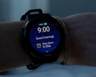 Forerunner 570 和 Forerunner 970 同时收到了相同的测试版更新，如图所示。(图片来源：Garmin）