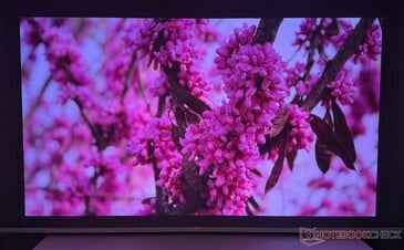 在室内光线较暗的情况下(相机只能在一定程度上捕捉图像质量)