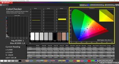 CalMAN ColorChecker（目标色彩空间：DCI-P3）。