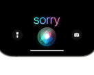 Apple 同意和解，但不承认有任何不当行为。