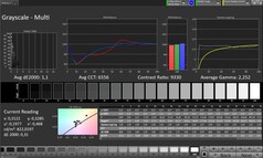 灰度(色彩模式:专业,目标色彩空间:sRGB)